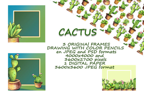 CACTI. ORIGINAl DRAWING FRAMES: A Unique Resource for Creative Projects